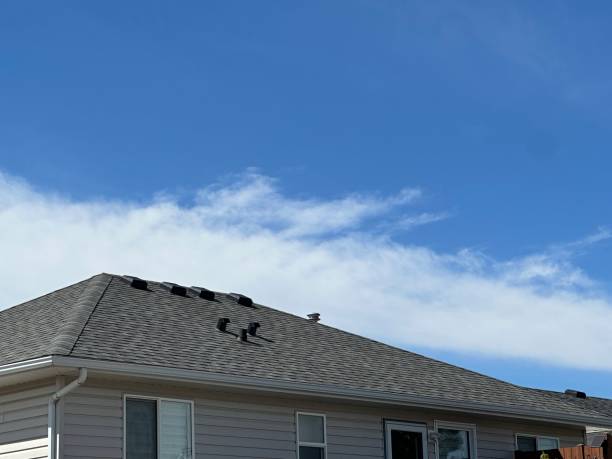 Best Roof Leak Repair  in Luray, VA